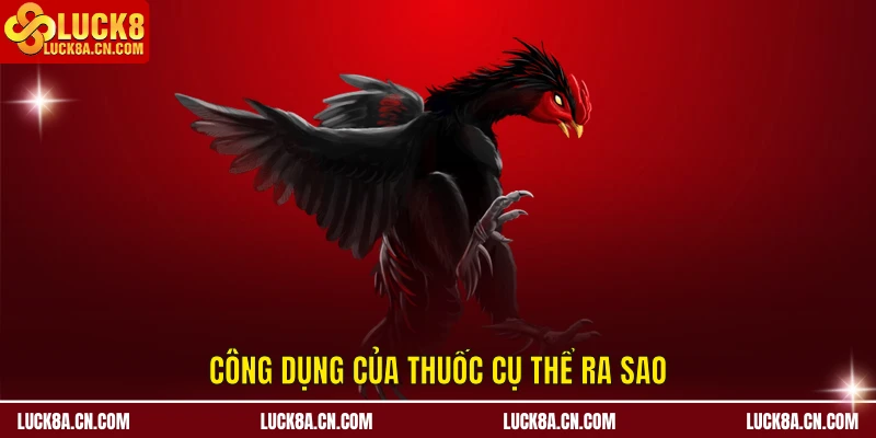 Công dụng của thuốc nuôi gà đá cựa sắt cụ thể ra sao