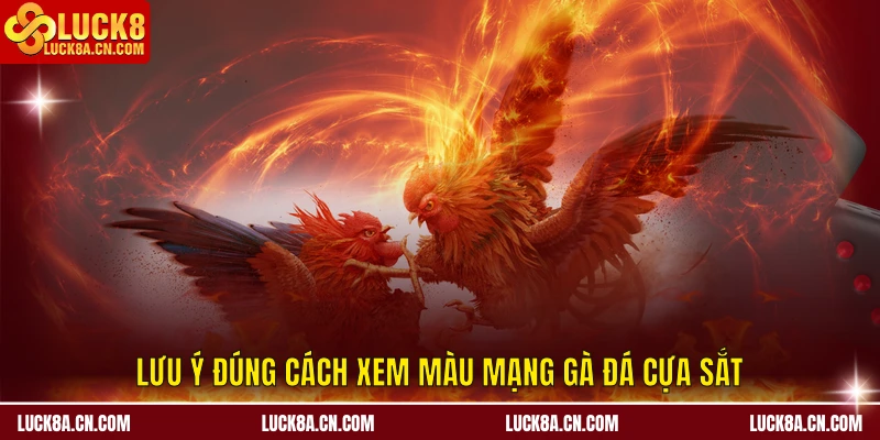 Lưu ý đúng cách xem màu mạng gà đá cựa sắt